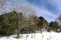 ��Ɛ�̑Δ䂪�������B