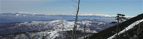 �k�A���v�X���ʂ̓W�]���f���炵��