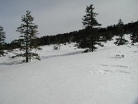 �q���b�e�����̕����B�[��̗��K��Ƃ��Ă͍œK�����B