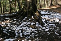 雪が沢山!!
