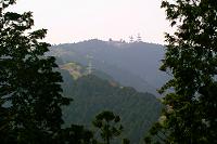 �؁X�̌��Ԃ��炳�����܂ł�����R�������Ă���