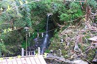 水行をする琵琶滝
