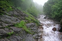 �J�ő������Ă���悤�ł��B