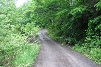 �V�΂̗ѓ����W�����W�����ƕ����B