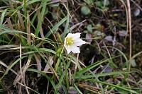 �`�V�}�A�}�i